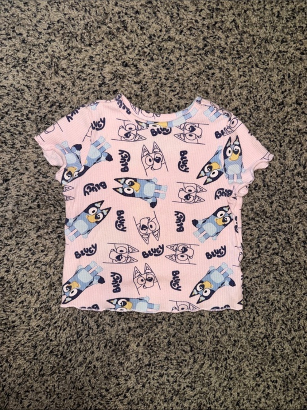 Toddler Girl 2T Bluey Ribbed Shirt